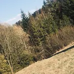 Ksiazka I Kubek 샬레