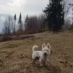 샬레 Ksiazka I Kubek Juszczyna