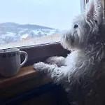 Ksiazka I Kubek *