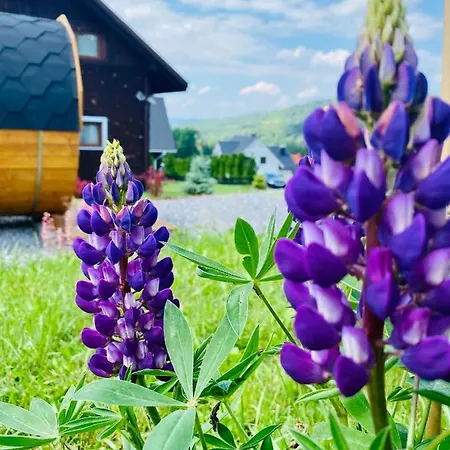 Ksiazka I Kubek Chalet
