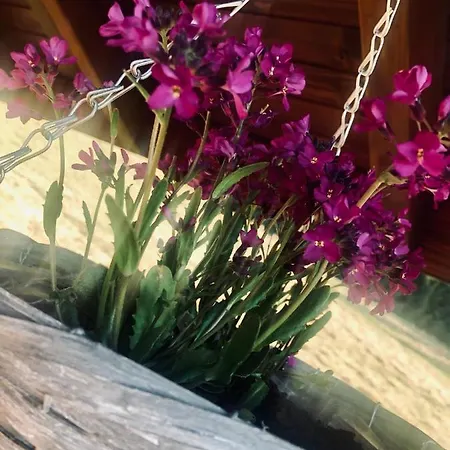 Chalet Ksiazka I Kubek Juszczyna