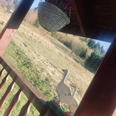 Domek alpejski Książka I Kubek Juszczyna