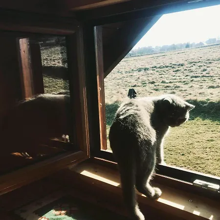 Książka I Kubek Domek alpejski Juszczyna