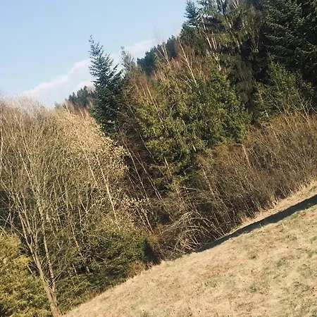 Książka I Kubek Domek alpejski