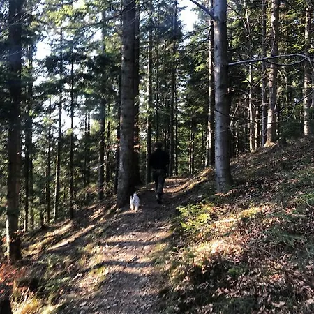 Chalet Ksiazka I Kubek Juszczyna