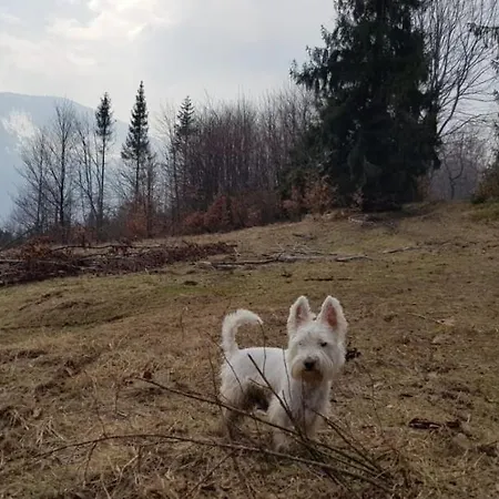 Chalet Ksiazka I Kubek Juszczyna