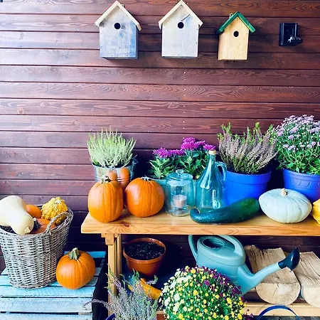 Ksiazka I Kubek Chalet *