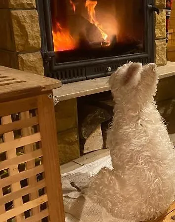 Domek alpejski Książka I Kubek