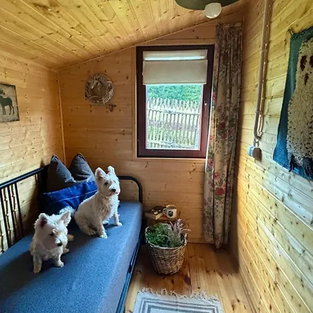 Książka I Kubek Domek alpejski Juszczyna