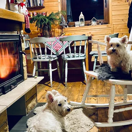 Chalet Ksiazka I Kubek *