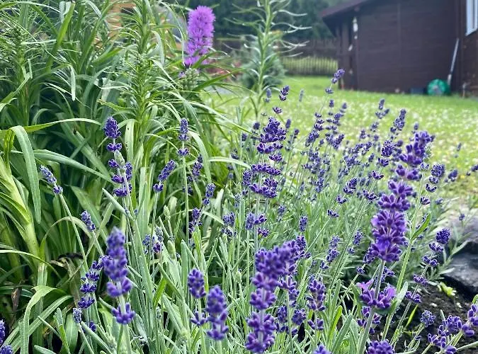 Ksiazka I Kubek Juszczyna