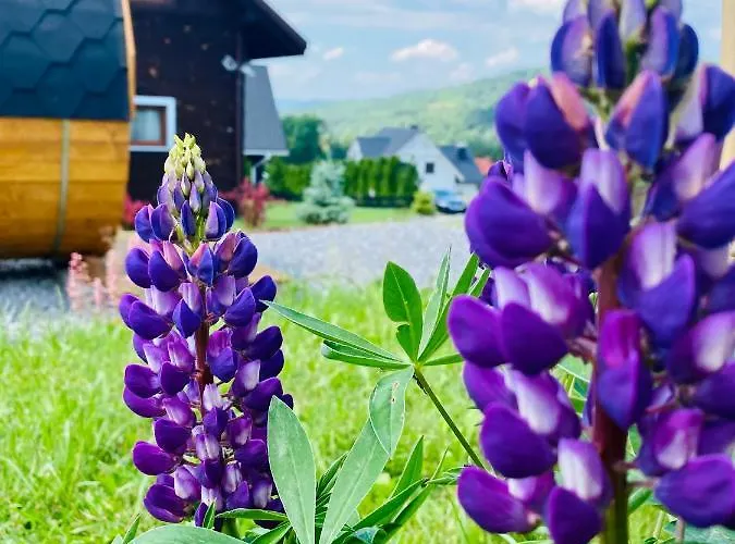 Ksiazka I Kubek בקתה