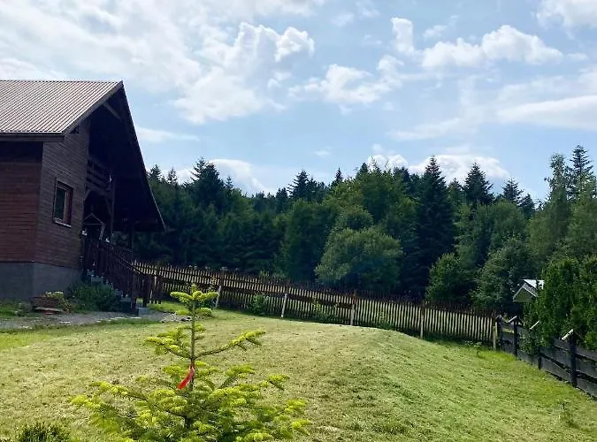 Ksiazka I Kubek Juszczyna