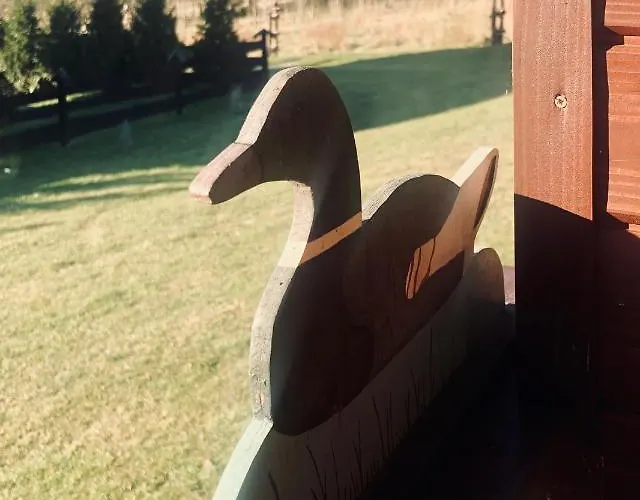 Ksiazka I Kubek בקתה *