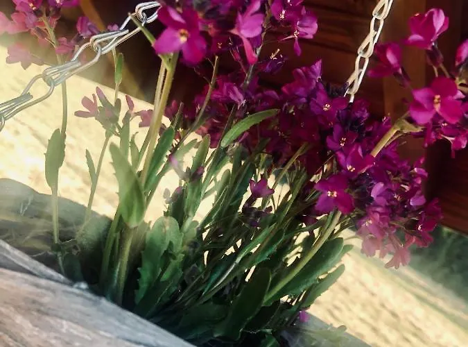 Chalet Ksiazka I Kubek Juszczyna