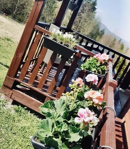 Ksiazka I Kubek Juszczyna