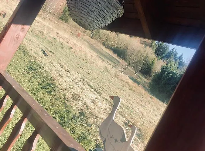 Chalet Ksiazka I Kubek Juszczyna