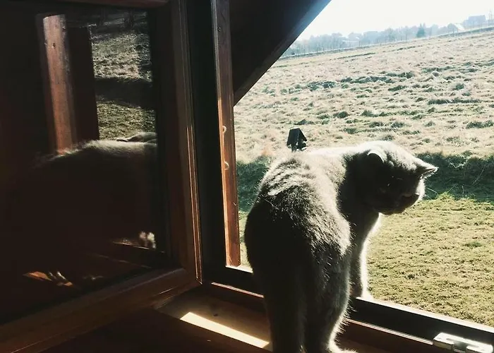 Ksiazka I Kubek Chalet Juszczyna