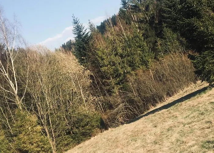 Ksiazka I Kubek Chalet