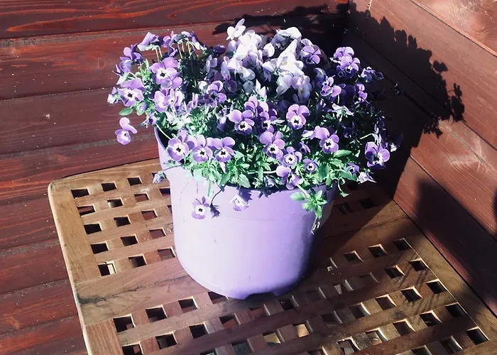 בקתה Ksiazka I Kubek Juszczyna