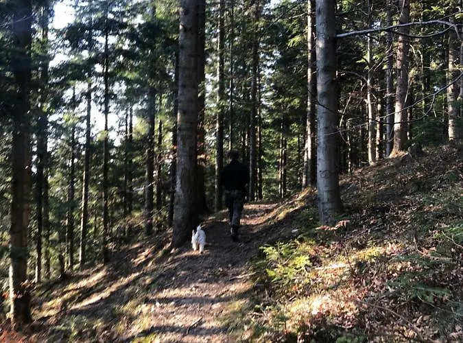 Chalet Ksiazka I Kubek Juszczyna