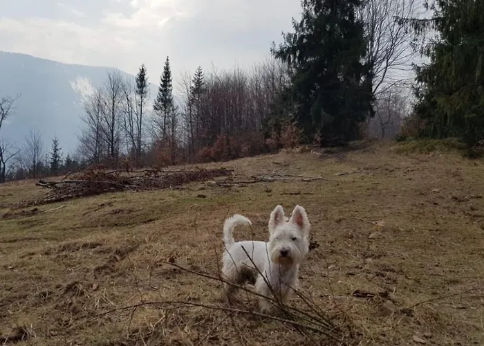 Chalet Ksiazka I Kubek Juszczyna