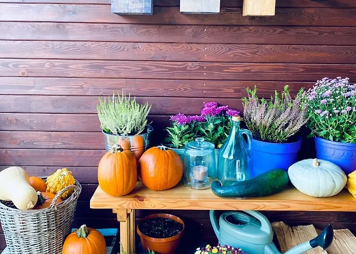 Ksiazka I Kubek בקתה *