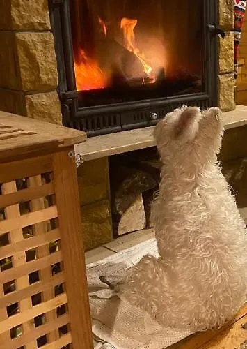 בקתה Ksiazka I Kubek