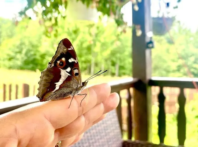 Ksiazka I Kubek Juszczyna