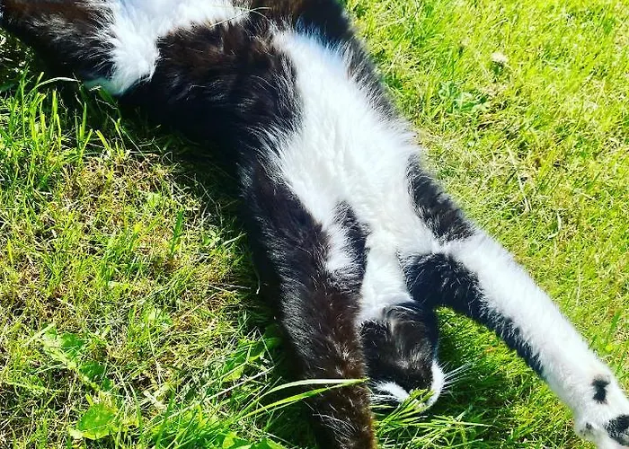 Ksiazka I Kubek * Juszczyna