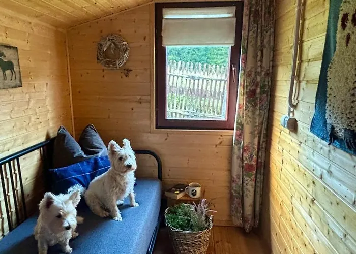 Ksiazka I Kubek Chalet Juszczyna