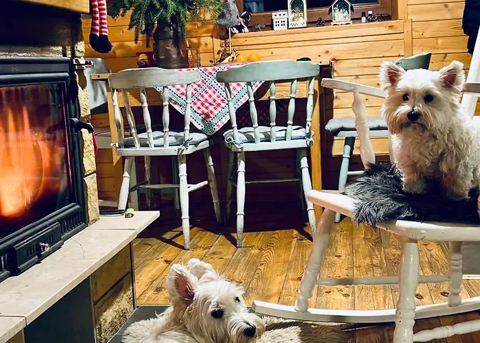 בקתה Ksiazka I Kubek *